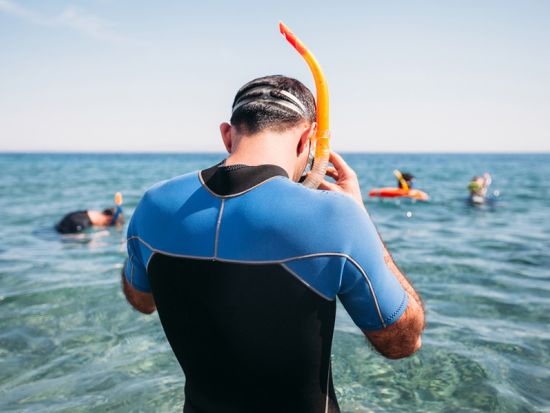 プナルウ黒砂海岸 シュノーケリングツアー　ウミガメの生息地として有名な黒砂のビーチで体験 ＜軽食付き／英語ガイド／ヒロ地区発＞