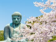 Japan_Kanagawa_Kamakura_buddhacherry_blossom_shutterstock_1052557481