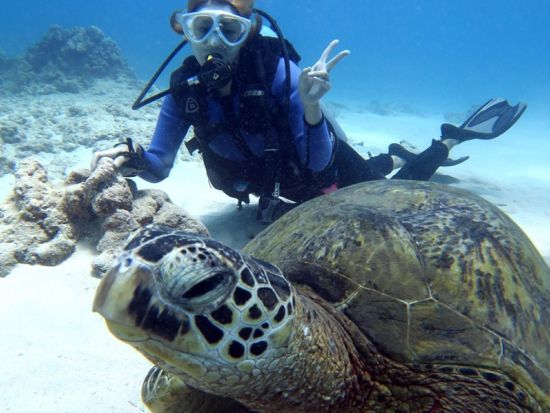 体験ダイビング　ウミガメの遭遇率が高いダイビングポイントへご案内 ＜ボート／2ダイブ／日本語インストラクター貸切＞ by アプアダイビング