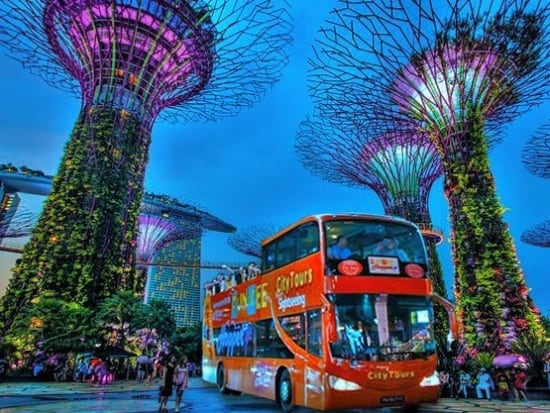 シンガポール夜景ツアー オープントップバス クルーズ マリーナベイ サンズ55階 Club55 プランあり 日本語 チリクラブ付 Or なし 主要ホテル送迎可 シンガポールの観光 オプショナルツアー専門 Veltra ベルトラ