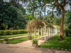 Brazil_Rio_Jardim Botanico Botanical Garden_shutterstock_1202089669
