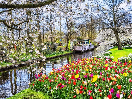 Netherlands_Keukenhof_shutterstock_546097633