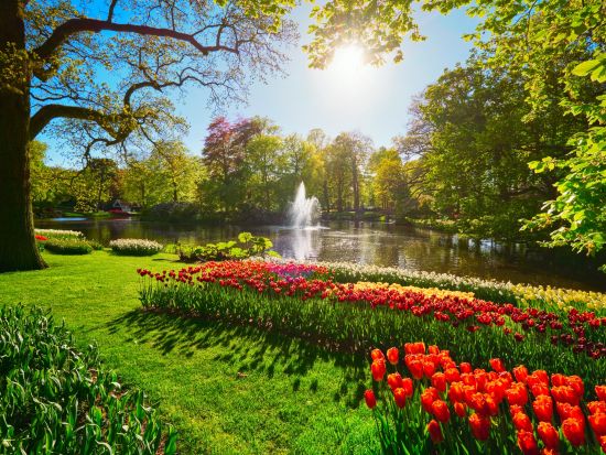 2026年3月19日～5月11日限定 アムステルダム⇔キューケンホフ公園 往復シャトル＋キューケンホフ公園優先入場チケット