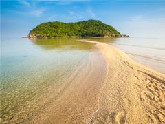 shutterstock_280359155 (1)
