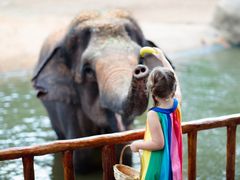 Singapore_zoo_shutterstock_1190341807
