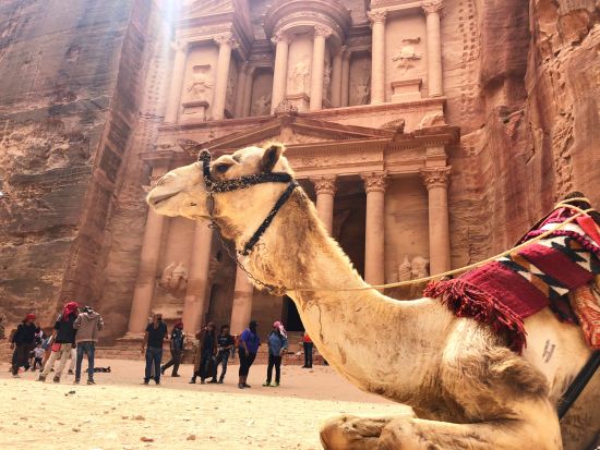 【3泊4日】各観光地で宿泊しながらゆっくり観光！死海＋ワディラム砂漠＋ペトラ＜貸切／英語／アンマン空港発着／選べるホテルランク＞