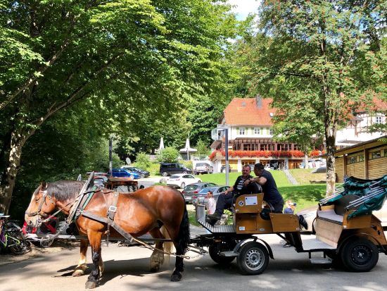 世界遺産：ノイシュバンシュタイン城＆リンダーホーフ城　日帰り観光ツアー ＜8時台出発／英語ガイド／ミュンヘン発＞