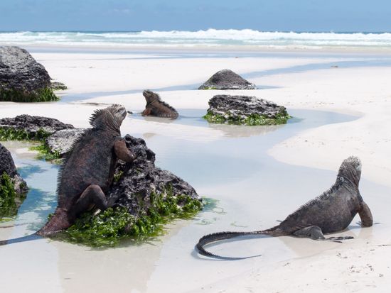 shutterstock_683241898