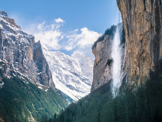 shutterstock_1105712729-crop