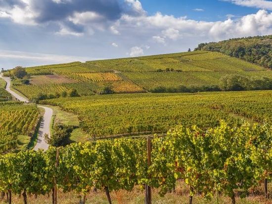 AdobeStock_131673568