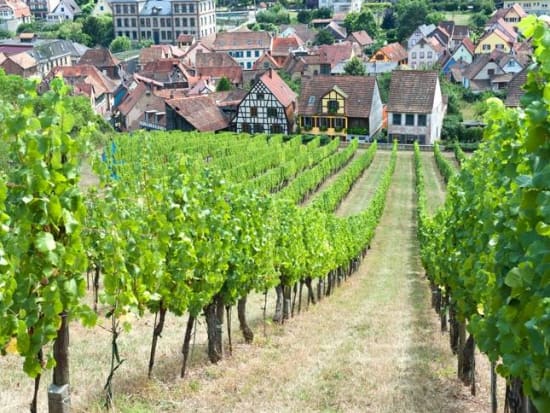 Wine Tour from Strasbourg