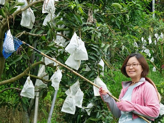 獲取芒果樂逍遙
