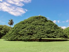 Hawaii_Oahu_Moanalua Gardens_shutterstock_389661181