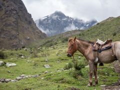 Peru_Humantay lake_shutterstock_1023418063