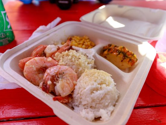 バン・ミニバス貸切チャーター　結婚式や社員旅行などグループに最適！最大24名まで乗車可能＜1～24名／2～10時間／英語ガイド＞