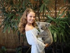 Koala at Cairns Wildlife Dome