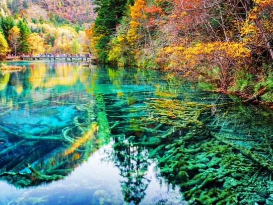 【上海発・2泊3日ツアー】九寨溝＋黄龍 中国絶景と世界自然遺産を巡るプライベートプラン＜高速鉄道付／宿泊付／専用車＋専属日本語ガイド／昼食付＞