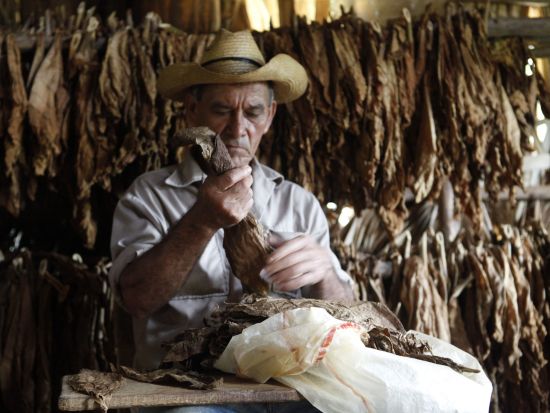 【プライベートツアー】ビニャーレス渓谷で乗馬体験！現代アート壁画・タバコ農家・インディオの洞窟キューバの自然と文化に触れる日帰りツアー＜ハバナ発着／英語ガイド＞