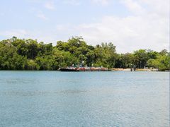 Daintree River Ferry