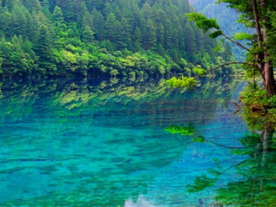 【成都発・2泊3日】終日観光で九寨溝をたっぷり満喫！九寨溝＋黄龍 宿泊ツアー*選べるホテルランク＜航空券込／専用車＋専属日本語ガイド／食事付＞