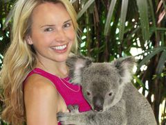 Get your pictures taken with the cuddly koalas