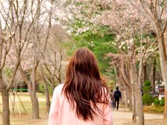 Nami Island in South Korea