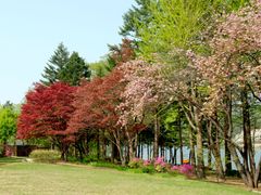Nami Island
