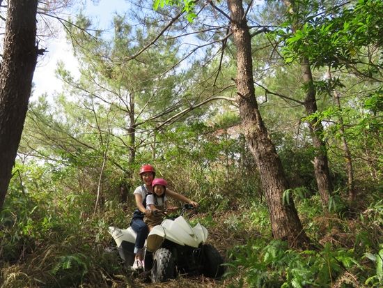  ジップライン やんばるの森で絶景＆スリルを満喫！世界遺産の壮大な景色が舞台の爽快アクティビティ ガイド同行の安全な空中散策＜沖縄／5本コース／ガイド解説付＞ 