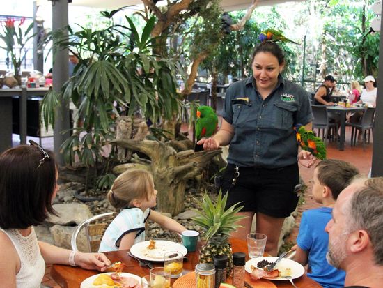 Breakfast With The Birds