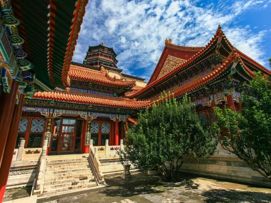 北京動物園（パンダ館）＋頤和園＋万里の長城「居庸関長城」1日観光ツアー！広東料理の昼食付き＜専用車＋日本語ガイド／昼食付／北京発＞