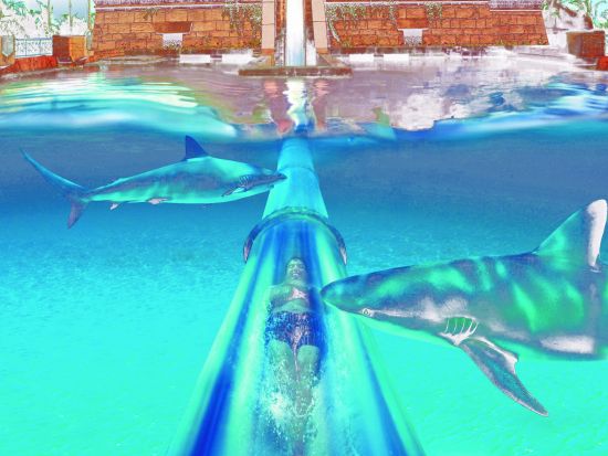 アクアベンチャー（Aquaventure）入場チケット　世界最大級のウォーターテーマパーク ロストチェンバー水族館セットあり＜アトランティス・ザ・パーム＞
