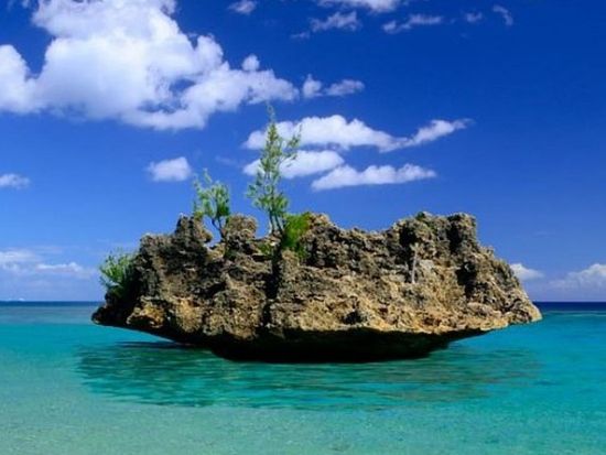 野生のイルカに出会える！モーリシャス南部ベネティエ島日帰りツアー＜英語ガイド／ホテル発＞