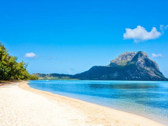 野生のイルカに出会える！モーリシャス南部ベネティエ島日帰りツアー＜英語ガイド／ホテル発＞