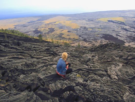 キラウエア国立公園ツアー　コーヒー農園立ち寄りやマウナケア山に近いサドルロード付近での星空観測もあり＜昼食・夕食付き／英語ガイド＞