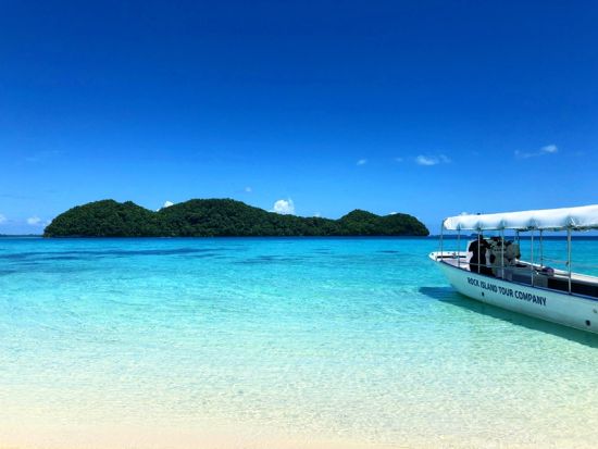 ミルキーウェイ＆ロングビーチ　パラオの名所を一日で制覇！ 2カ所のポイントでシュノーケル＜日本語／昼食付き／送迎付き＞by RITC