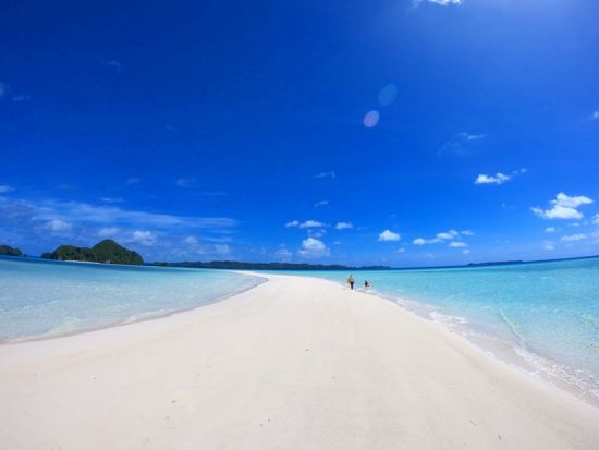 ミルキーウェイ＆ロングビーチ　パラオの名所を一日で制覇！ 2カ所のポイントでシュノーケル＜日本語／昼食付き／送迎付き＞by RITC