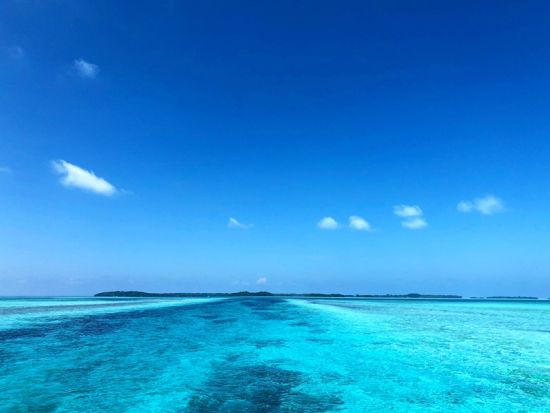 ミルキーウェイ＆ロングビーチ　パラオの名所を一日で制覇！ 2カ所のポイントでシュノーケル＜日本語／昼食付き／送迎付き＞by RITC