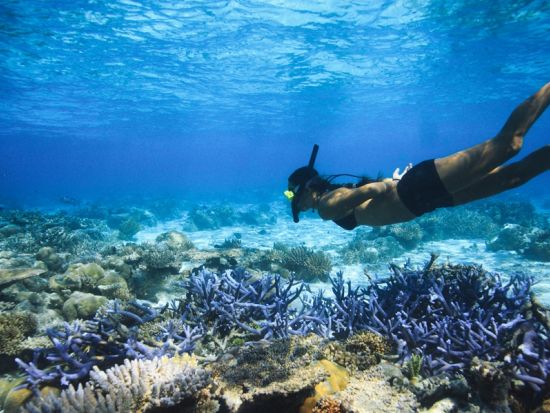 ミルキーウェイ＆ロングビーチ　パラオの名所を一日で制覇！ 2カ所のポイントでシュノーケル＜日本語／昼食付き／送迎付き＞by RITC