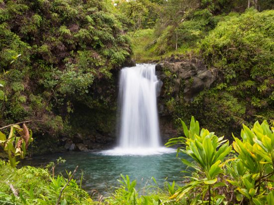 マウイ島　ハレアカラヘリツアーと天国のハナ観光＜1日／英語／ランチ付き＞