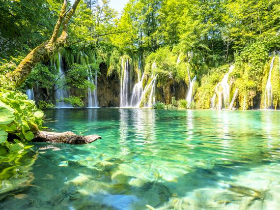 20190219024959_1839652311_11212_0