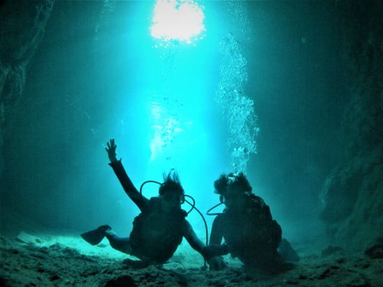 体験ダイビング ジンベエザメと一緒に泳ごう！＜恩納村発＞by あいる・ぷまんどぅ