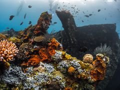 Indonesia_Bali_Tumlamben Bay_USAT Liberty_shutterstock_518207071