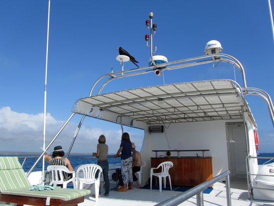 Gala-Land cruise2