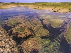 恵比須島(千畳敷)
