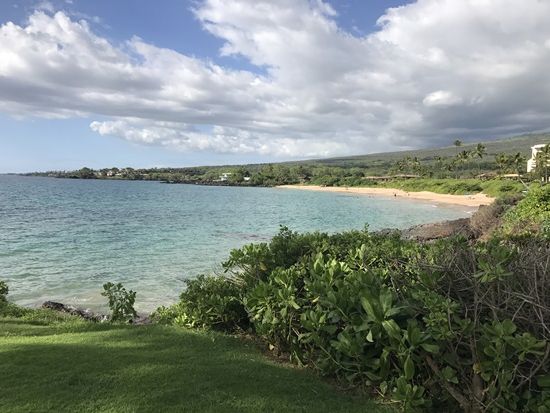 カフルイ空港ホテル間 貸切送迎サービス　空港到着後そのまま観光も可！＜1-5名／日本語ドライバー＞