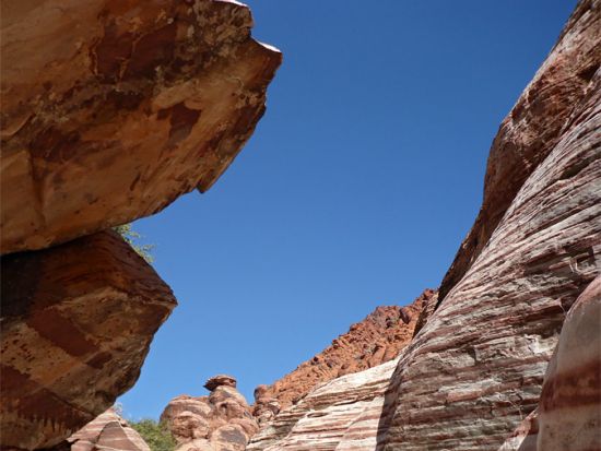 1日1組限定！グランドサークル2泊3日　2カ所のキャンプ場で過ごす　世界遺産グランドキャニオンでキャンプツアー＜延泊OK／食事付き／日本語ガイド／貸切＞ 