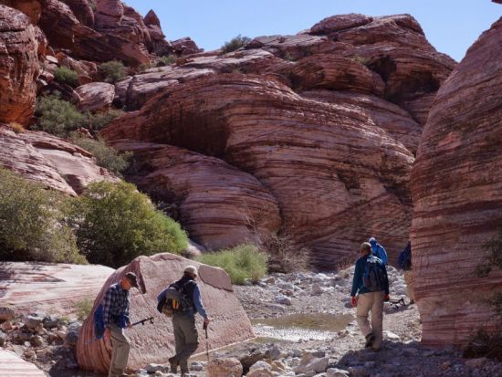 レッドロックキャニオン 半日観光ツアー クラフトマウンテンをハイキング＆トレーダージョーズでのショッピングタイムあり＜午前発／昼食付き／日本語ガイド＞