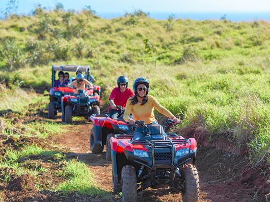 ハワイ島　ATVツアー　プライベートウォータホールの滝つぼでリフレッシュも！＜英語ガイド＞