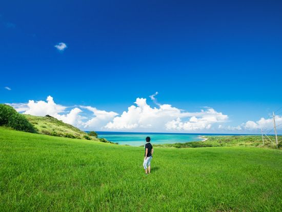 貸切観光タクシー　美ら海水族館・万座毛・首里城など思い通りにめぐるセミオーダーのプライベートツアー＜5～10時間／1～9名／那覇市内・空港送迎可＞