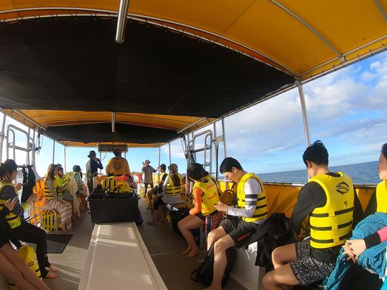 20190205043116_417689952_0